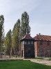 Auschwitz-Birkenau_14