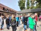 Auschwitz-Birkenau_15