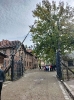 Auschwitz-Birkenau_17