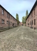 Auschwitz-Birkenau_26