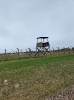 Auschwitz-Birkenau_39