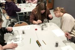 IMG20250221093222